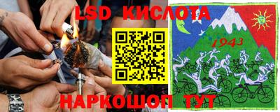 меф Кингисепп