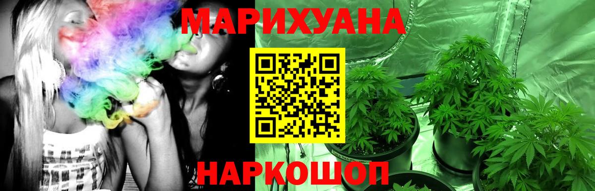 Каннабис OG Kush Чехов